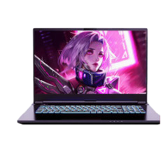 二手AIERXUAN 游侠 R3 16寸回收